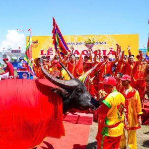 Chuẩn bị chu đáo cho Lễ hội chọi trâu Đồ Sơn năm 2025