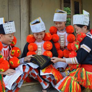 Triển khai thực hiện Nghị quyết số 80-NQ/TW về phát triển văn hóa Việt Nam: Bảo tồn và phát huy văn hóa dân tộc Dao trong giai đoạn mới