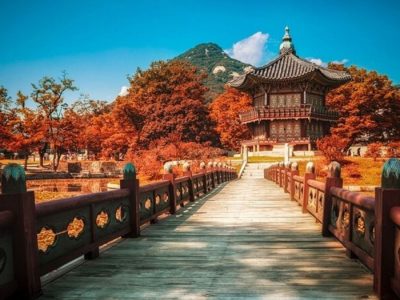 Đối tượng khách Việt nào có thể được Hàn Quốc cấp visa 10 năm?