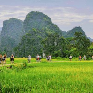 Báo Pháp ấn tượng với sức hấp dẫn đặc trưng của Việt Nam