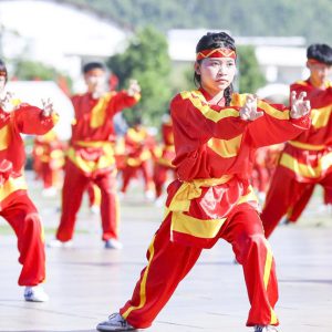 Liên hoan Quốc tế Võ cổ truyền Việt Nam lần thứ IX: Tinh hoa võ Việt tiếp tục ngời sáng