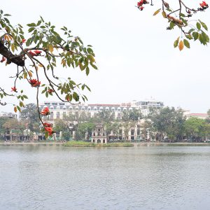 Việt Nam đứng thứ 4 trong xu hướng du lịch mùa thu năm 2026